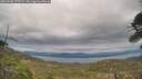 ./images/calvert/fitz-hugh-hecate/20260508/fitz-hugh-hecate20260508_175501M.jpg