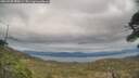 ./images/calvert/fitz-hugh-hecate/20260508/fitz-hugh-hecate20260508_180001M.jpg