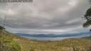 ./images/calvert/fitz-hugh-hecate/20260508/fitz-hugh-hecate20260508_182501M.jpg