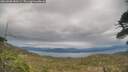 ./images/calvert/fitz-hugh-hecate/20260508/fitz-hugh-hecate20260508_183501M.jpg