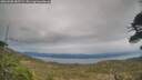 ./images/calvert/fitz-hugh-hecate/20260508/fitz-hugh-hecate20260508_185501M.jpg