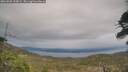 ./images/calvert/fitz-hugh-hecate/20260508/fitz-hugh-hecate20260508_190001M.jpg