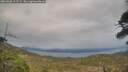 ./images/calvert/fitz-hugh-hecate/20260508/fitz-hugh-hecate20260508_191501M.jpg