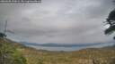 ./images/calvert/fitz-hugh-hecate/20260508/fitz-hugh-hecate20260508_193002M.jpg