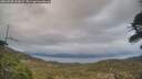 ./images/calvert/fitz-hugh-hecate/20260508/fitz-hugh-hecate20260508_203001M.jpg