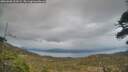 ./images/calvert/fitz-hugh-hecate/20260508/fitz-hugh-hecate20260508_203501M.jpg