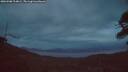 ./images/calvert/fitz-hugh-hecate/20260508/fitz-hugh-hecate20260508_214001M.jpg