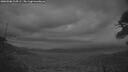 ./images/calvert/fitz-hugh-hecate/20260508/fitz-hugh-hecate20260508_214502M.jpg