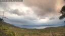 ./images/calvert/fitz-hugh-hecate/20260509/fitz-hugh-hecate20260509_061501M.jpg
