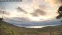 ./images/calvert/fitz-hugh-hecate/20260509/fitz-hugh-hecate20260509_063501M.jpg