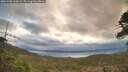 ./images/calvert/fitz-hugh-hecate/20260509/fitz-hugh-hecate20260509_065002M.jpg