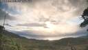./images/calvert/fitz-hugh-hecate/20260509/fitz-hugh-hecate20260509_071002M.jpg