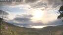 ./images/calvert/fitz-hugh-hecate/20260509/fitz-hugh-hecate20260509_075001M.jpg