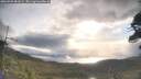 ./images/calvert/fitz-hugh-hecate/20260509/fitz-hugh-hecate20260509_081001M.jpg