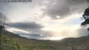 ./images/calvert/fitz-hugh-hecate/20260509/fitz-hugh-hecate20260509_081502M.jpg