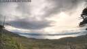 ./images/calvert/fitz-hugh-hecate/20260509/fitz-hugh-hecate20260509_084001M.jpg