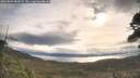 ./images/calvert/fitz-hugh-hecate/20260509/fitz-hugh-hecate20260509_084501M.jpg