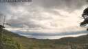 ./images/calvert/fitz-hugh-hecate/20260509/fitz-hugh-hecate20260509_093501M.jpg