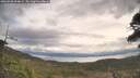 ./images/calvert/fitz-hugh-hecate/20260509/fitz-hugh-hecate20260509_094001M.jpg