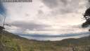 ./images/calvert/fitz-hugh-hecate/20260509/fitz-hugh-hecate20260509_094501M.jpg