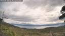 ./images/calvert/fitz-hugh-hecate/20260509/fitz-hugh-hecate20260509_100001M.jpg