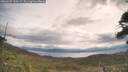 ./images/calvert/fitz-hugh-hecate/20260509/fitz-hugh-hecate20260509_100501M.jpg
