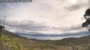 ./images/calvert/fitz-hugh-hecate/20260509/fitz-hugh-hecate20260509_101001M.jpg