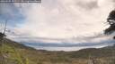 ./images/calvert/fitz-hugh-hecate/20260509/fitz-hugh-hecate20260509_102502M.jpg