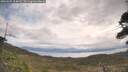 ./images/calvert/fitz-hugh-hecate/20260509/fitz-hugh-hecate20260509_104001M.jpg