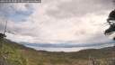 ./images/calvert/fitz-hugh-hecate/20260509/fitz-hugh-hecate20260509_104501M.jpg