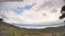 ./images/calvert/fitz-hugh-hecate/20260509/fitz-hugh-hecate20260509_105501M.jpg