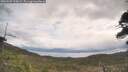 ./images/calvert/fitz-hugh-hecate/20260509/fitz-hugh-hecate20260509_110001M.jpg