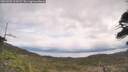 ./images/calvert/fitz-hugh-hecate/20260509/fitz-hugh-hecate20260509_111001M.jpg