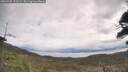 ./images/calvert/fitz-hugh-hecate/20260509/fitz-hugh-hecate20260509_111501M.jpg