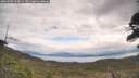 ./images/calvert/fitz-hugh-hecate/20260509/fitz-hugh-hecate20260509_113001M.jpg