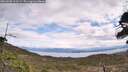./images/calvert/fitz-hugh-hecate/20260509/fitz-hugh-hecate20260509_115501M.jpg