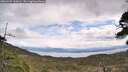 ./images/calvert/fitz-hugh-hecate/20260509/fitz-hugh-hecate20260509_120001M.jpg