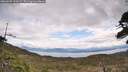 ./images/calvert/fitz-hugh-hecate/20260509/fitz-hugh-hecate20260509_121002M.jpg