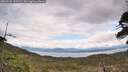 ./images/calvert/fitz-hugh-hecate/20260509/fitz-hugh-hecate20260509_121501M.jpg