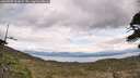 ./images/calvert/fitz-hugh-hecate/20260509/fitz-hugh-hecate20260509_122002M.jpg