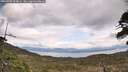 ./images/calvert/fitz-hugh-hecate/20260509/fitz-hugh-hecate20260509_123001M.jpg