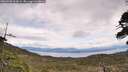 ./images/calvert/fitz-hugh-hecate/20260509/fitz-hugh-hecate20260509_124501M.jpg