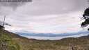 ./images/calvert/fitz-hugh-hecate/20260509/fitz-hugh-hecate20260509_125501M.jpg