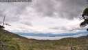 ./images/calvert/fitz-hugh-hecate/20260509/fitz-hugh-hecate20260509_131001M.jpg