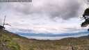 ./images/calvert/fitz-hugh-hecate/20260509/fitz-hugh-hecate20260509_133501M.jpg