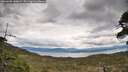 ./images/calvert/fitz-hugh-hecate/20260509/fitz-hugh-hecate20260509_140002M.jpg