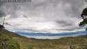 ./images/calvert/fitz-hugh-hecate/20260509/fitz-hugh-hecate20260509_141002M.jpg