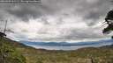 ./images/calvert/fitz-hugh-hecate/20260509/fitz-hugh-hecate20260509_141501M.jpg