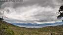 ./images/calvert/fitz-hugh-hecate/20260509/fitz-hugh-hecate20260509_143002M.jpg