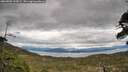 ./images/calvert/fitz-hugh-hecate/20260509/fitz-hugh-hecate20260509_145001M.jpg
